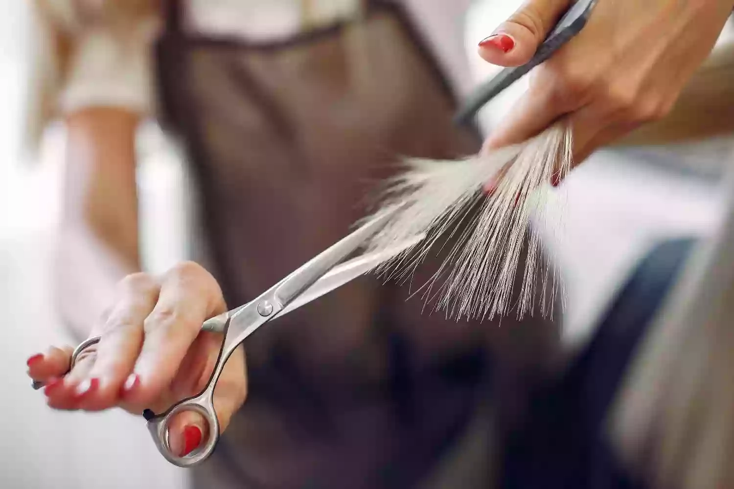 Dastan Unisex Hair Salon Dastan Unisex Hair Salon