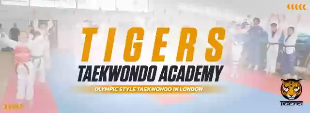 TIGERS TAEKWONDO ACADEMY TIGERS TAEKWONDO ACADEMY