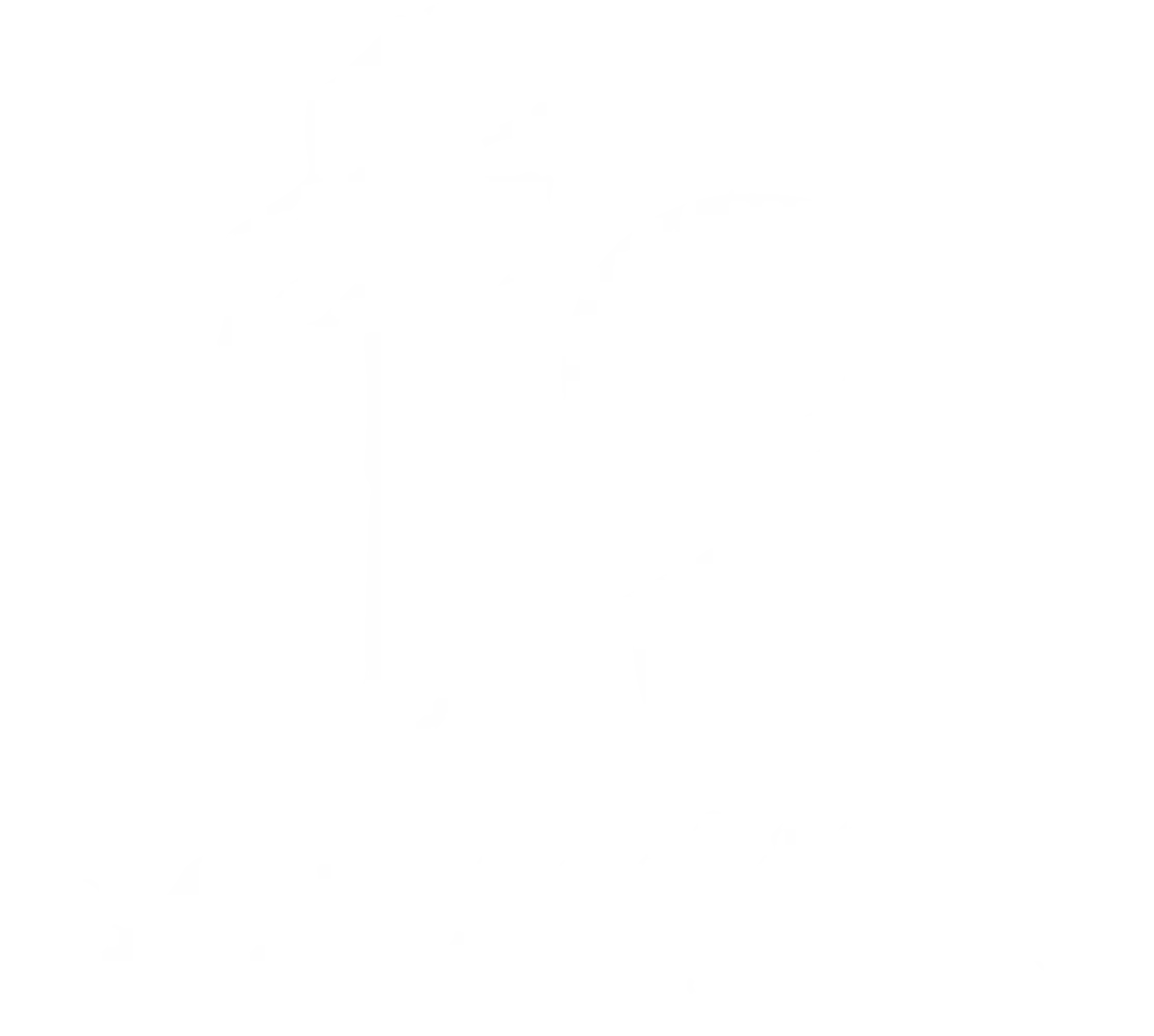 F9 Consulting F9 Consulting
