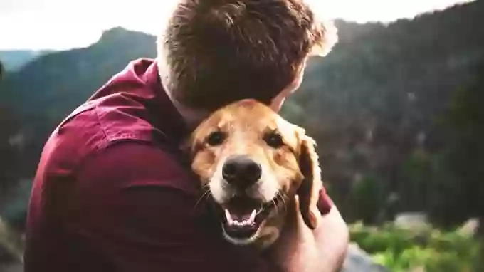 Vets4Pets - Byfleet Vets4Pets - Byfleet