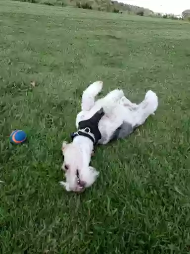 Out On The lead