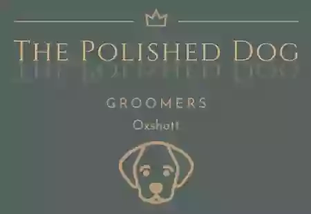 The Polished Dog The Polished Dog