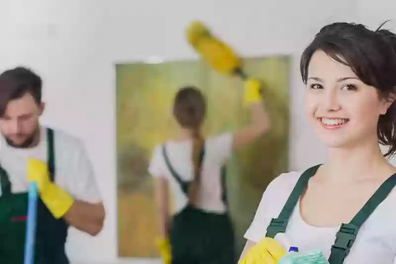 Biz Cleaners Ltd Biz Cleaners Ltd