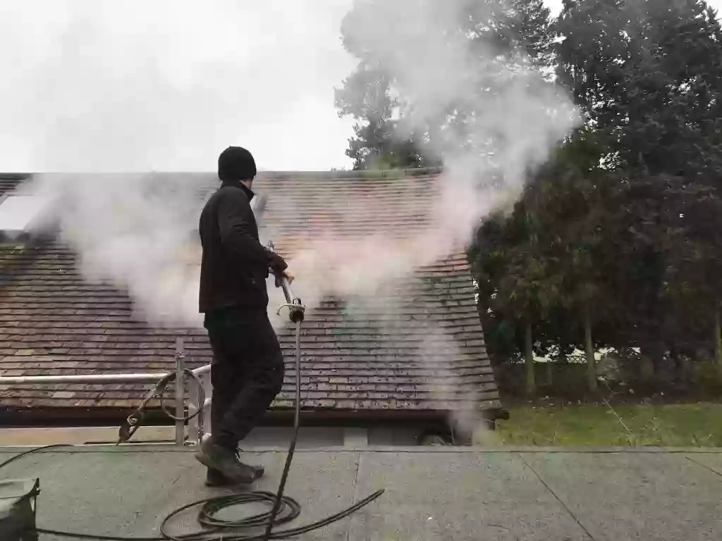 Innsight cleaning Innsight cleaning