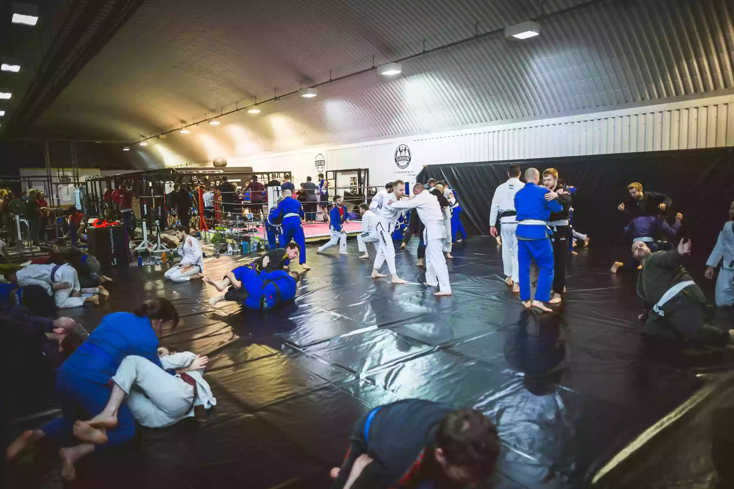 Fighting Fit