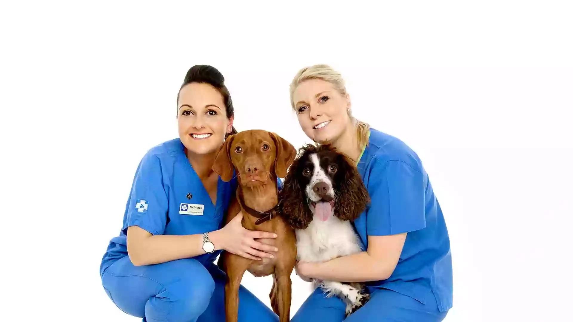 White Cross Vets White Cross Vets