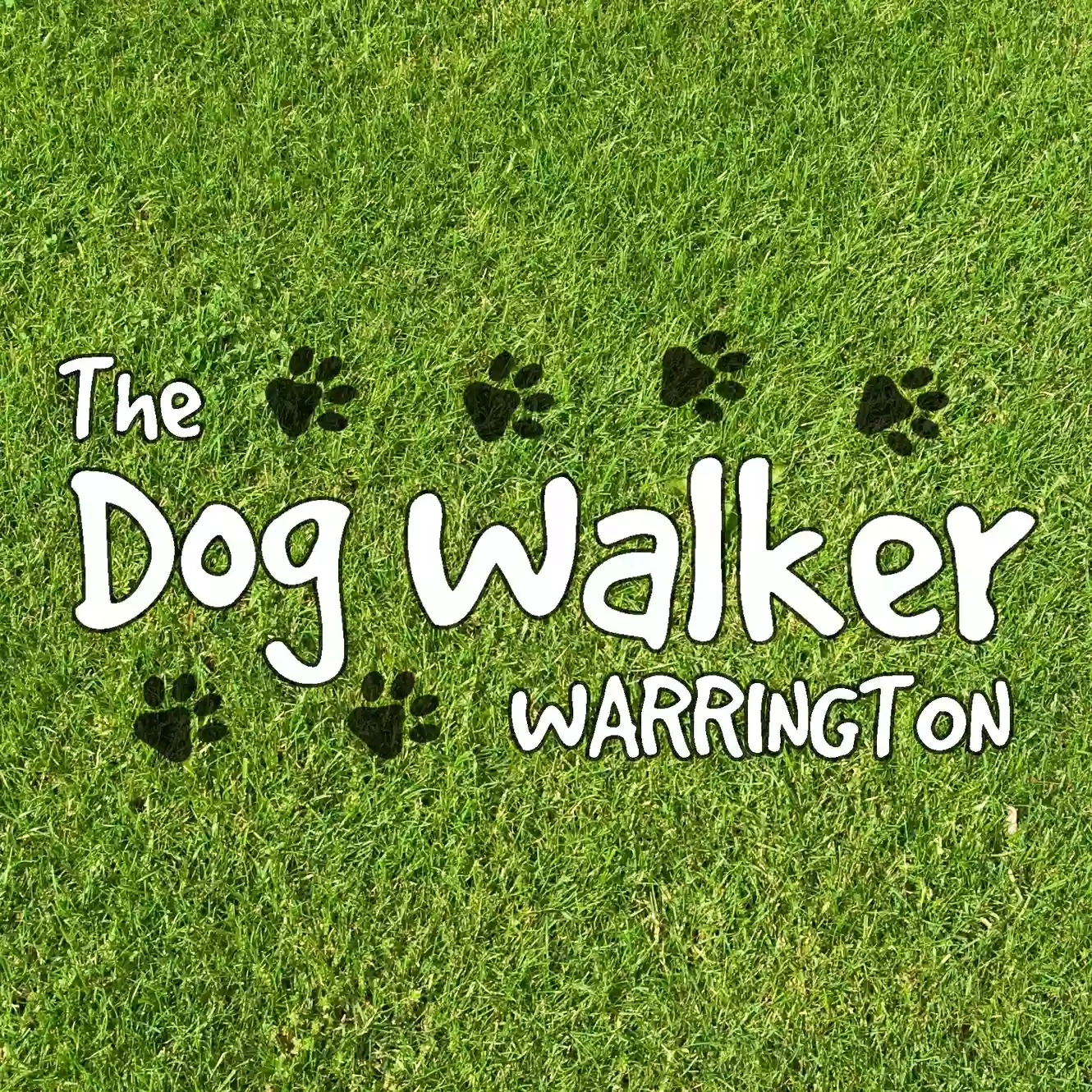 The Dog Walker Warrington The Dog Walker Warrington