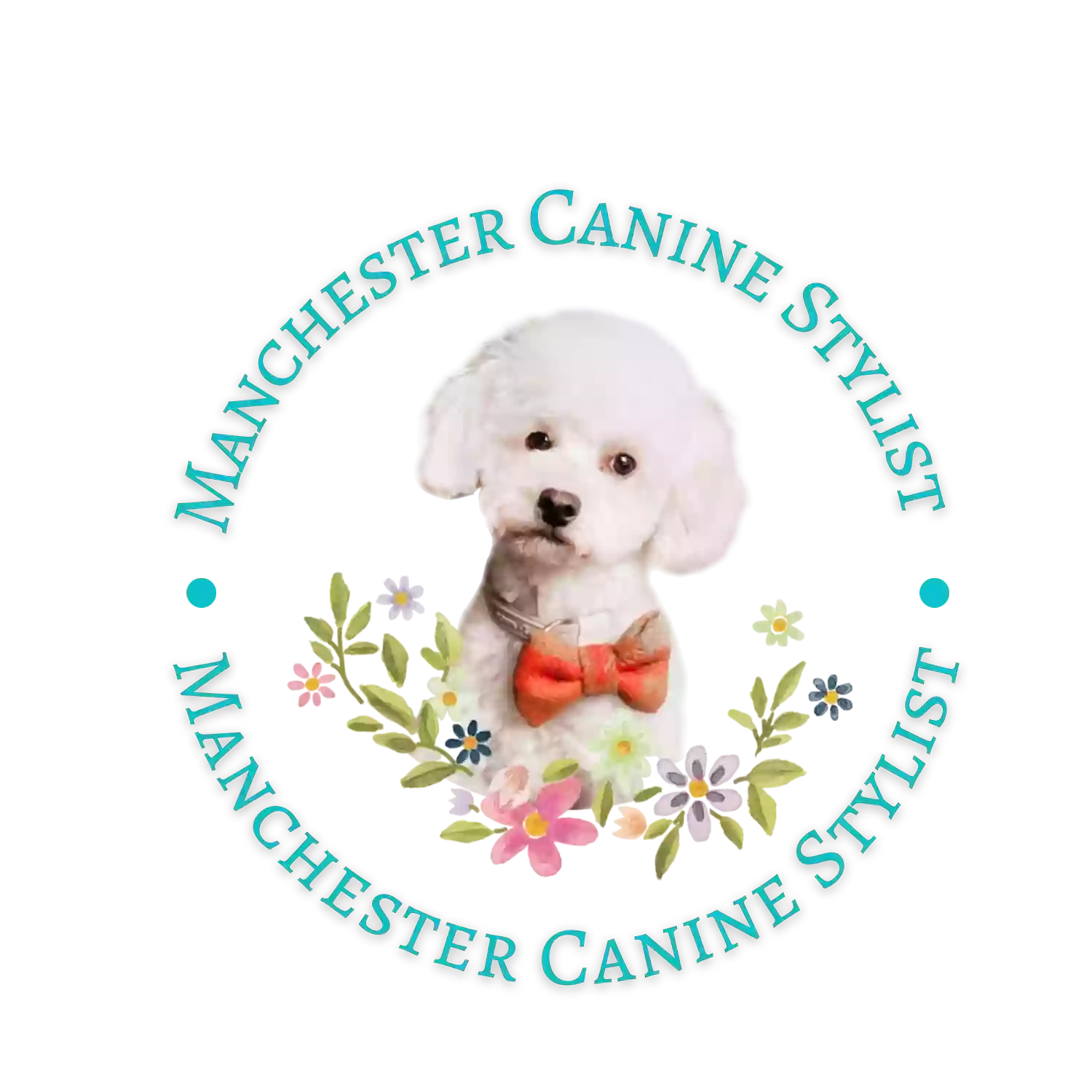 Manchester Canine Stylist Manchester Canine Stylist