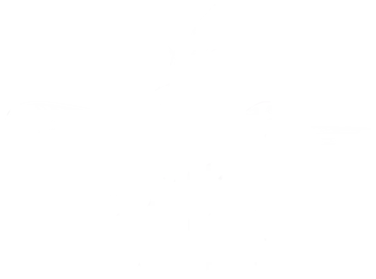 The Park Bar & Kitchen The Park Bar & Kitchen