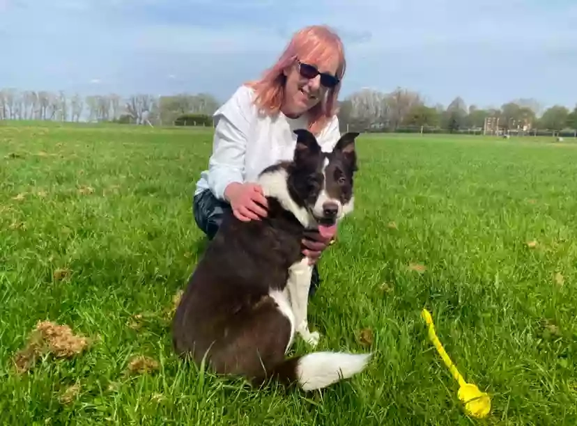 Walks n Wags Chester Walks n Wags Chester