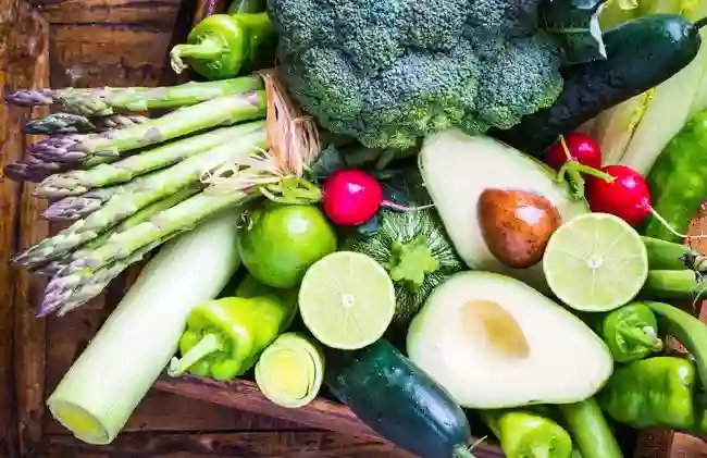The plant based place The plant based place