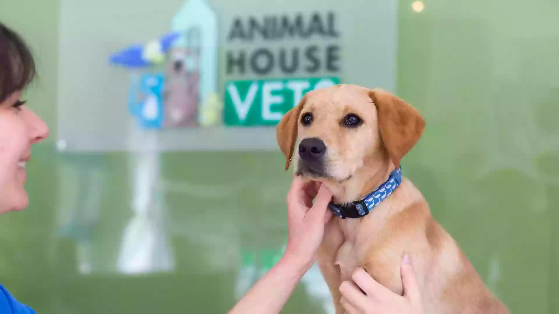 Animal House Vets Animal House Vets
