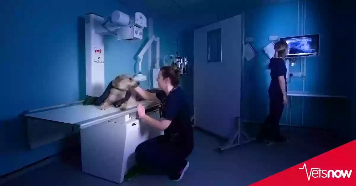 Vets Now Hospital Glasgow Vets Now Hospital Glasgow