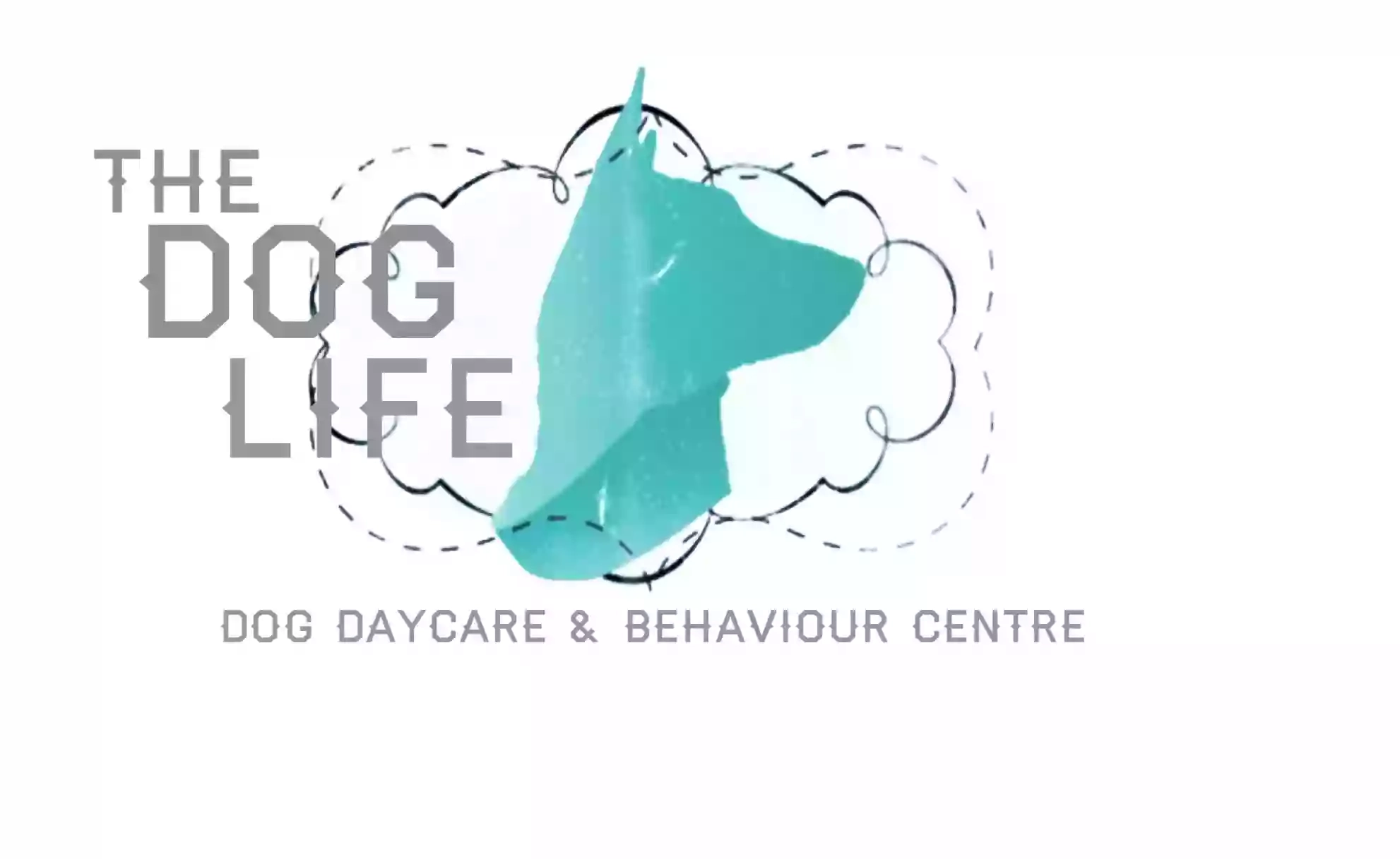 The Dog Life The Dog Life