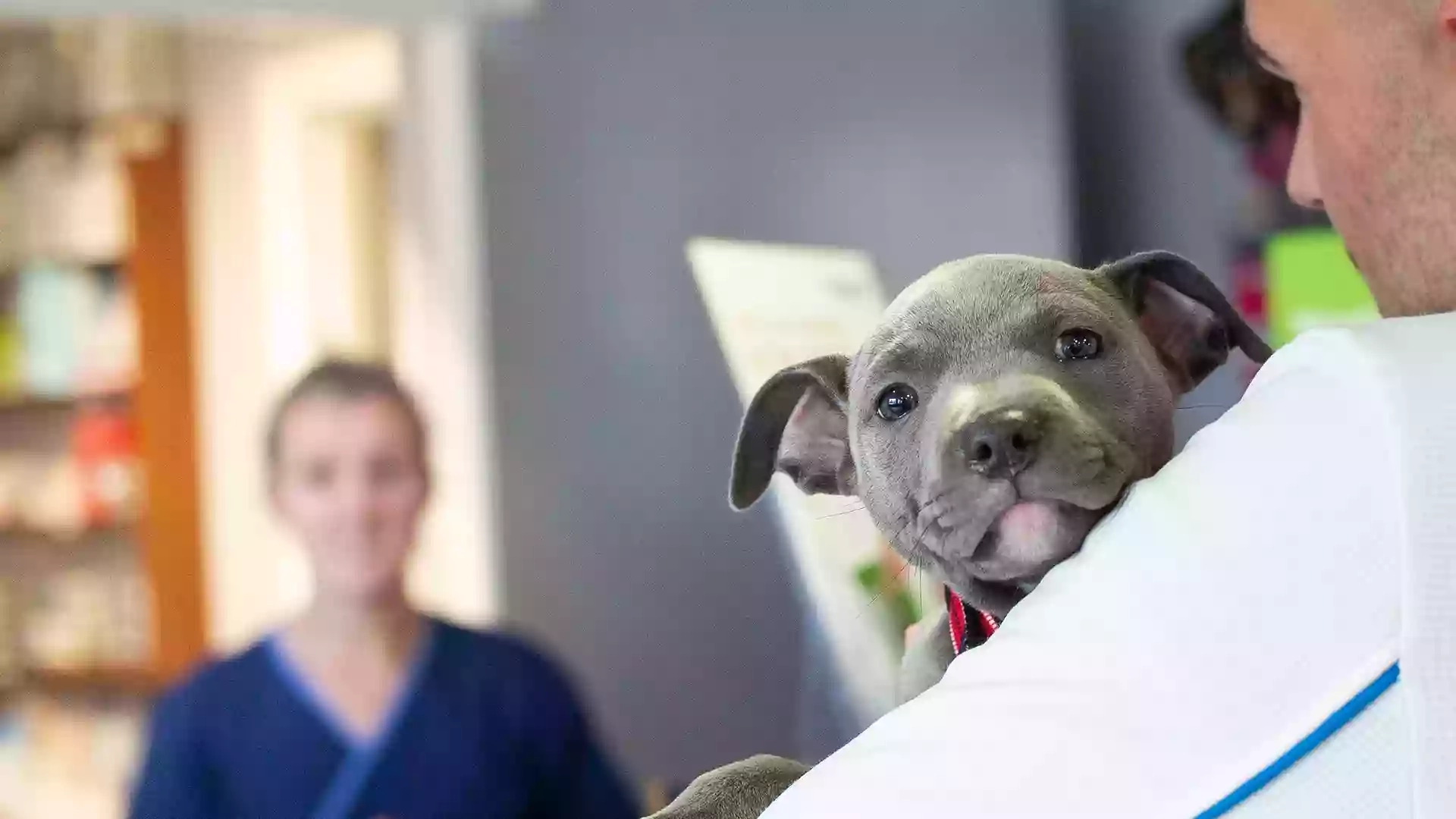 Fenaghy Veterinary Clinic Fenaghy Veterinary Clinic