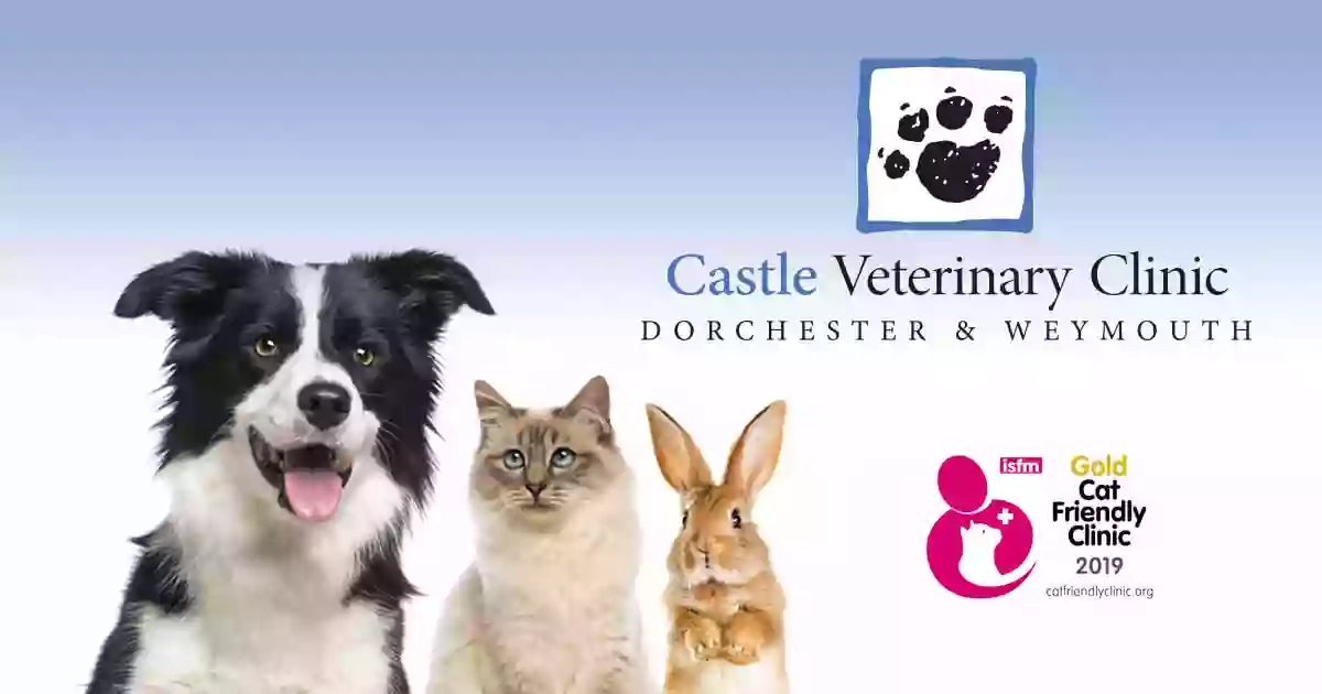 Castle Veterinary Clinic Castle Veterinary Clinic