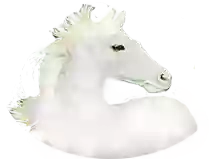 The White Horse The White Horse