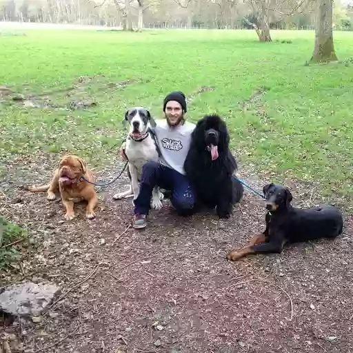 Lucky Dogs Lucky Dogs