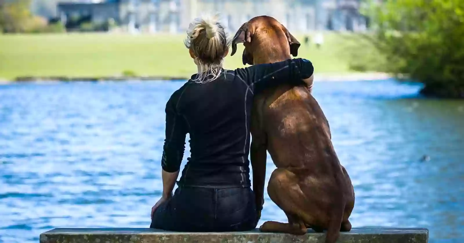 Arun Veterinary Group Ashington Arun Veterinary Group Ashington