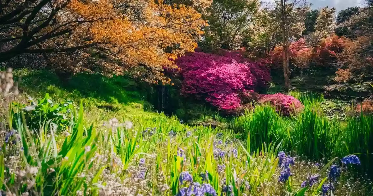 Wakehurst Wakehurst