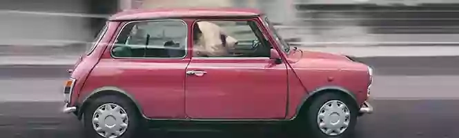 Panda Insurance