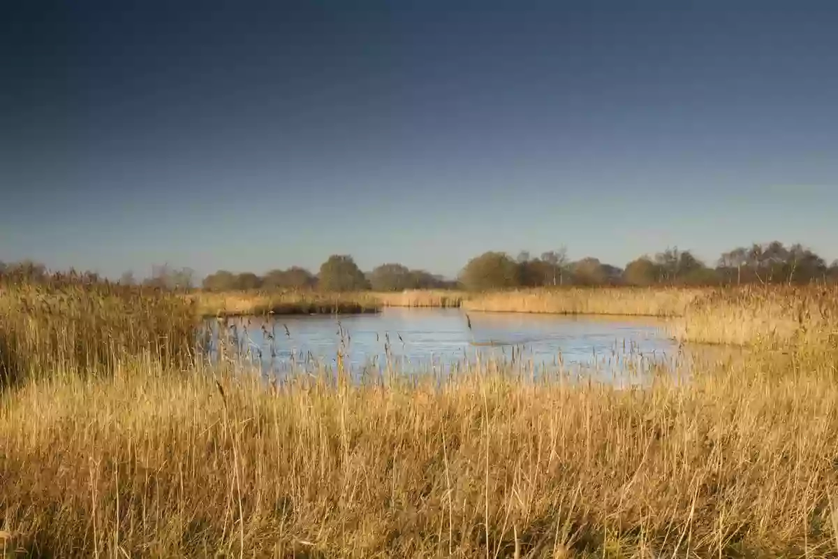 Hickling Broad Hickling Broad