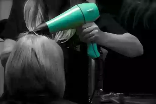 Cuts Company Cuts Company