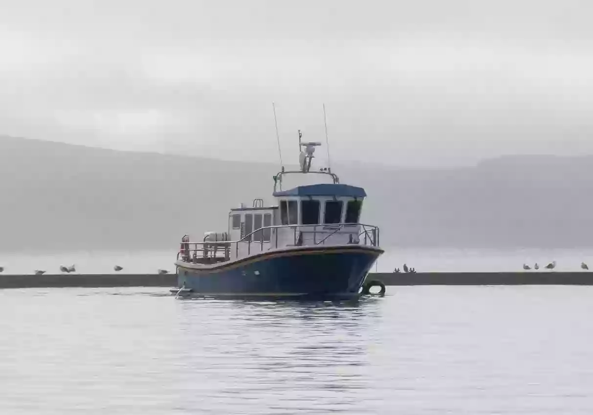 Valentia Island Cruises Valentia Island Cruises