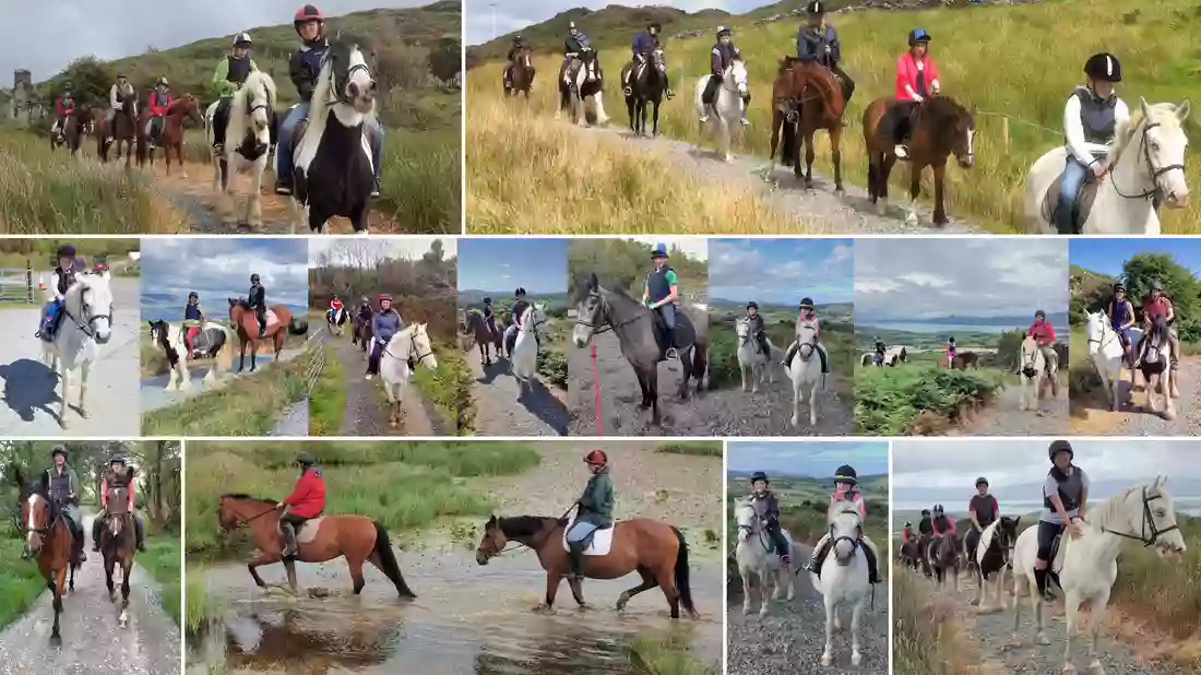 Bantry Bay Pony Trekking Bantry Bay Pony Trekking