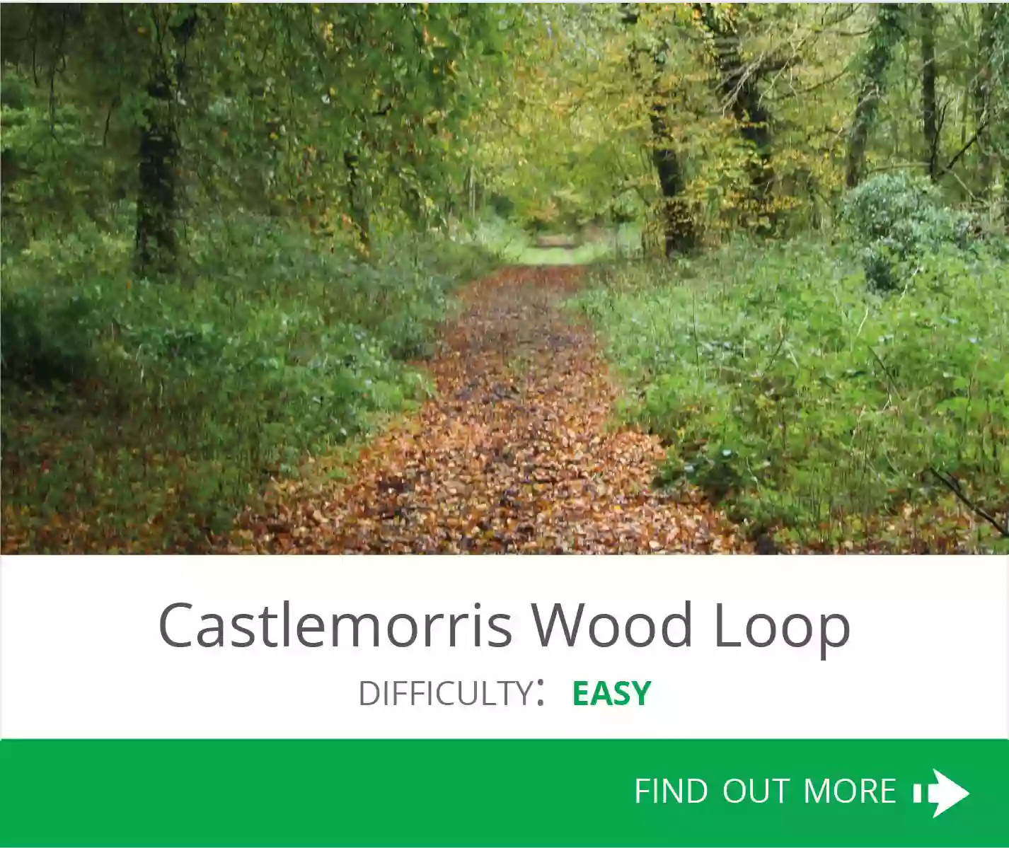 Castlemorris Woods Castlemorris Woods