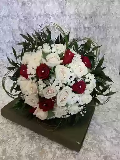 Piante e Fiori Piante e Fiori
