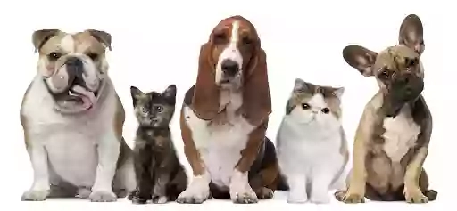 Pet Shop Pet Shop