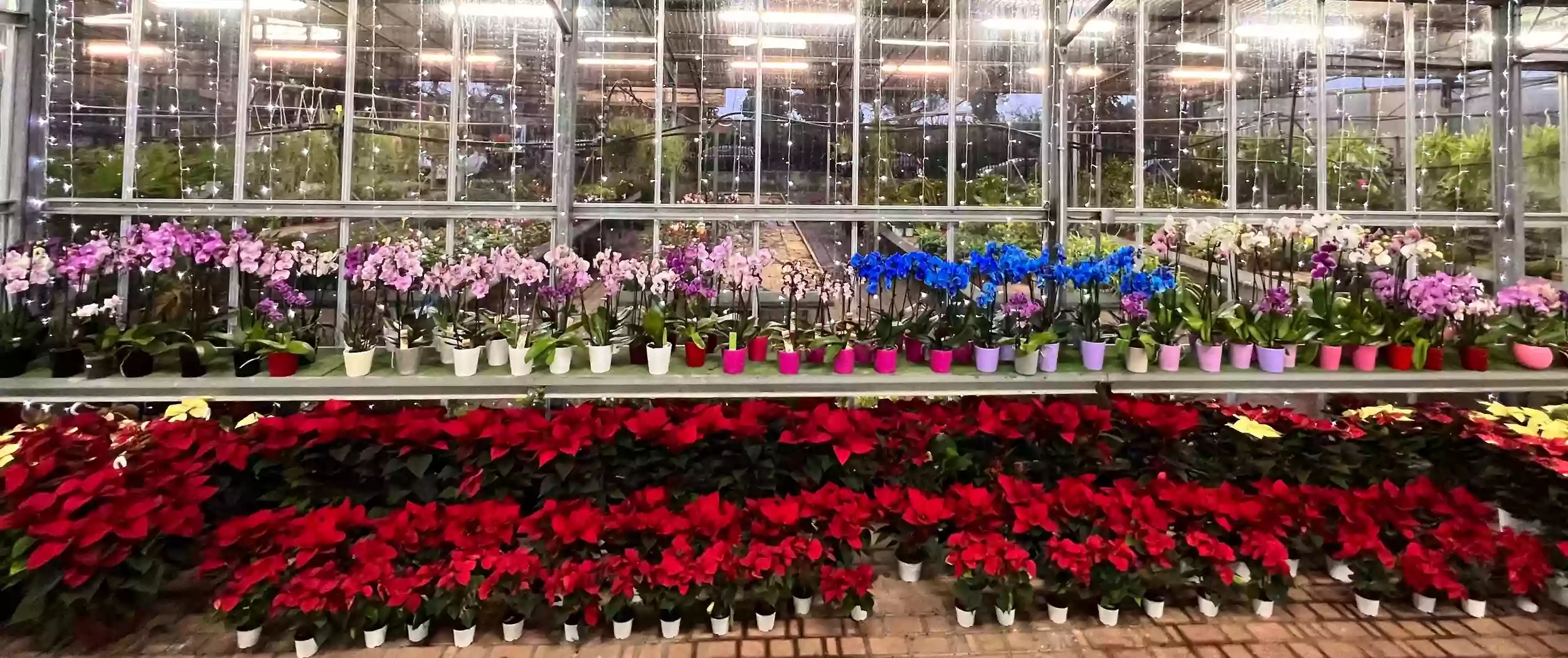 Eurogarden Eurogarden
