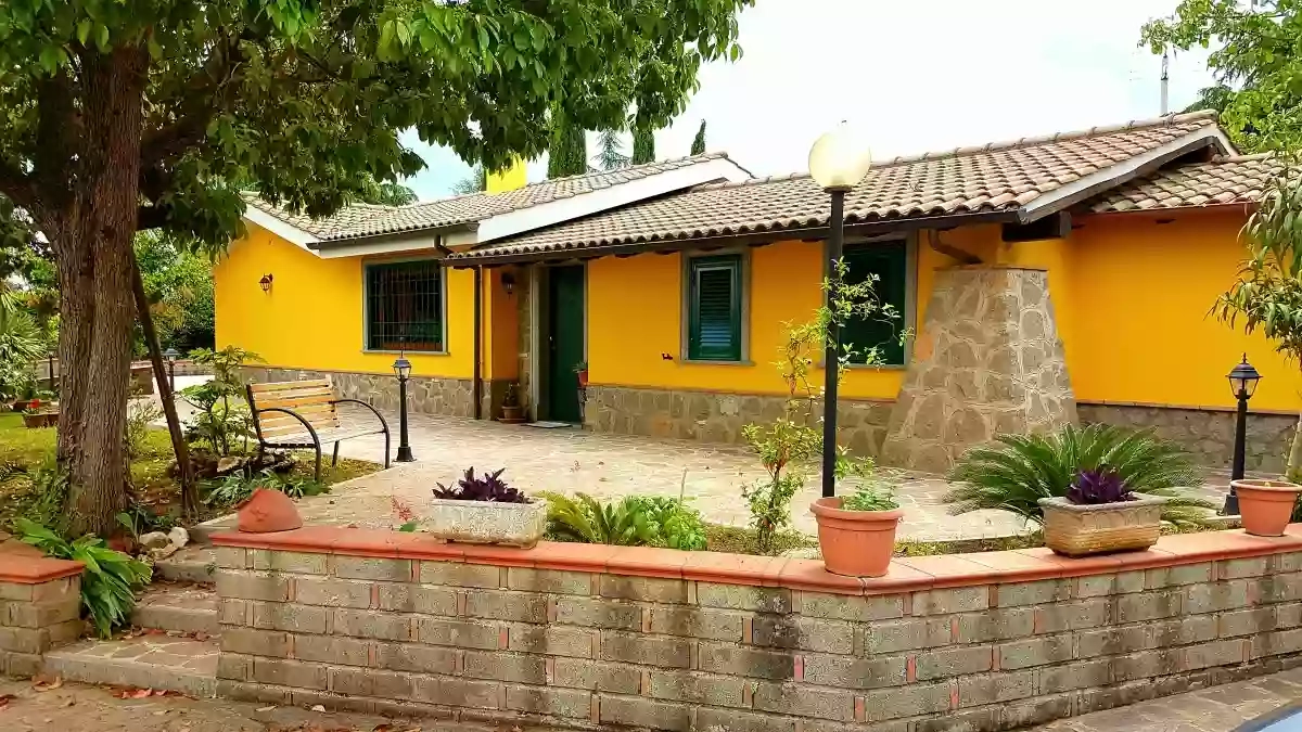 La Camelia La Camelia