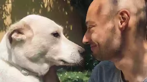 Dog sitter Eur Serafico Dog sitter Eur Serafico