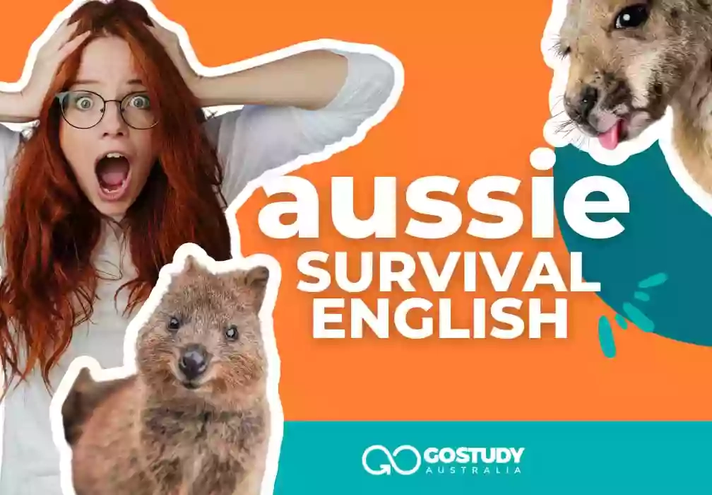 Go Study Australia