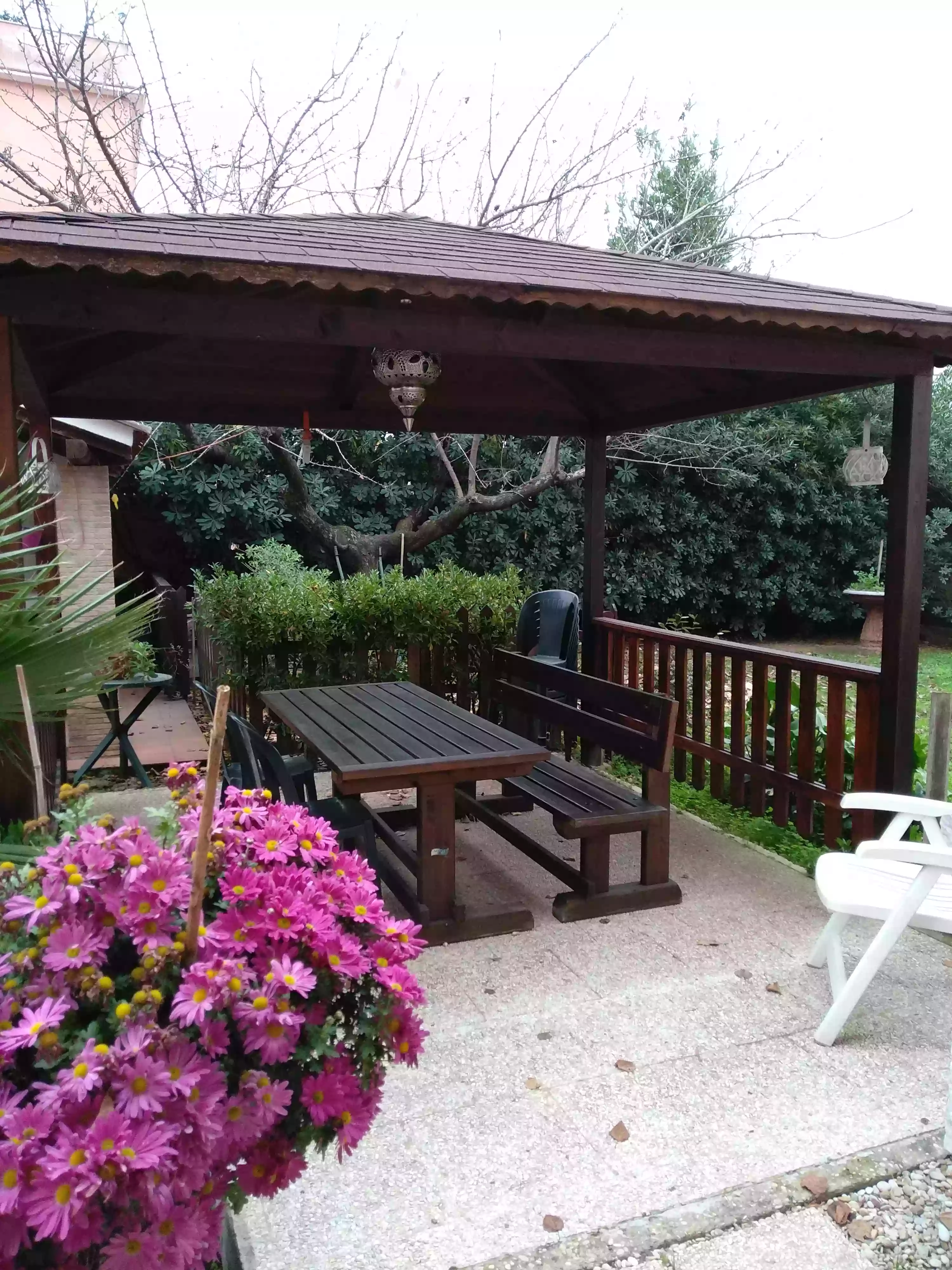 Camere in affitto