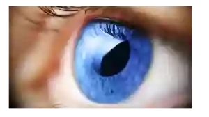 Lombardi Eye Clinic Lombardi Eye Clinic