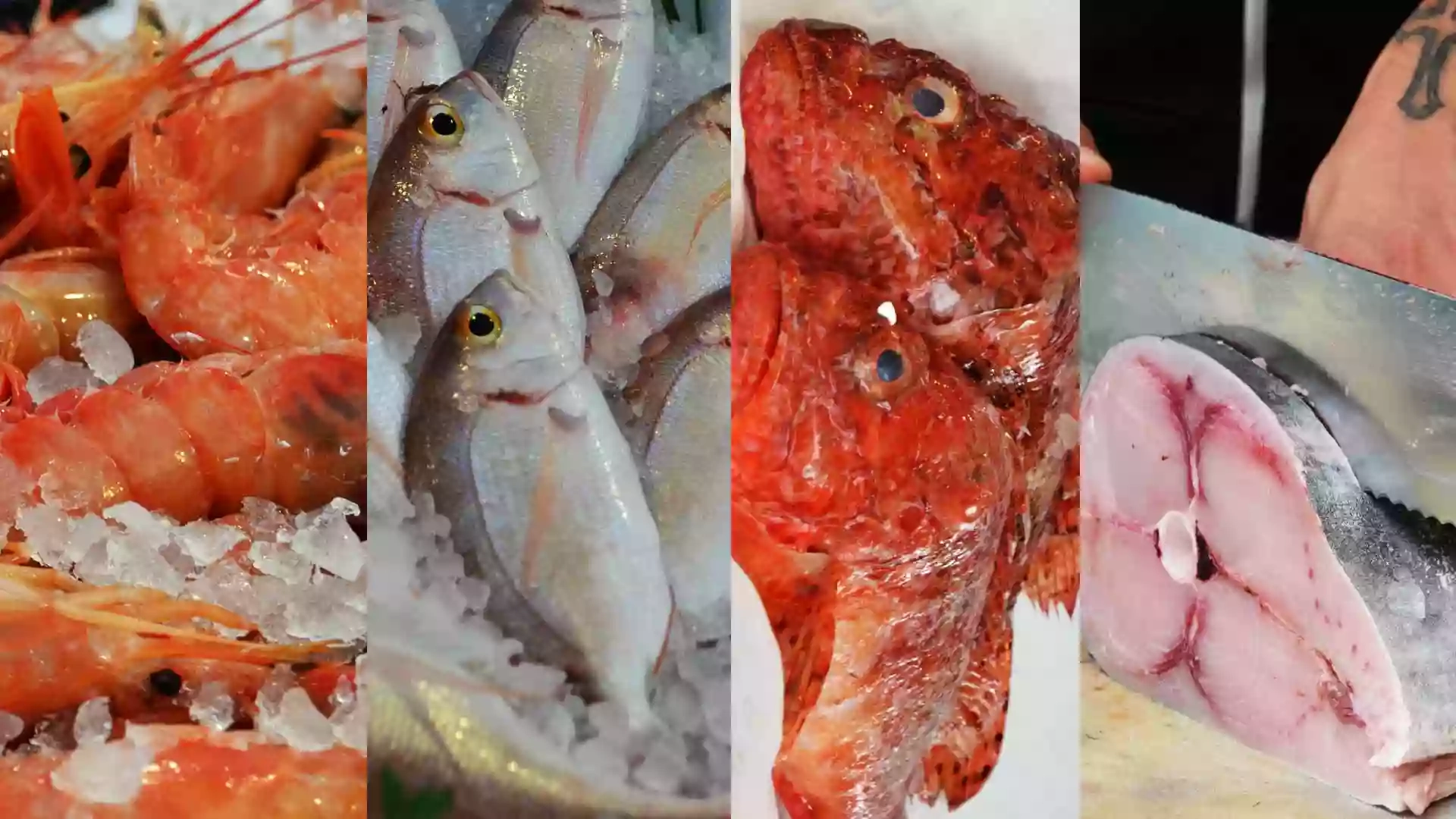 Pescheria Agraja Pescheria Agraja