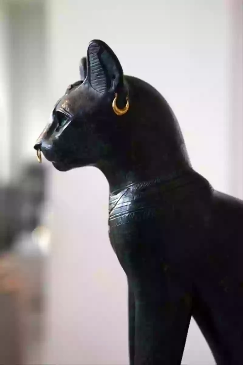 Bastet: Scuola di Musica e di Canto Castelli Romani Bastet: Scuola di Musica e di Canto Castelli Romani