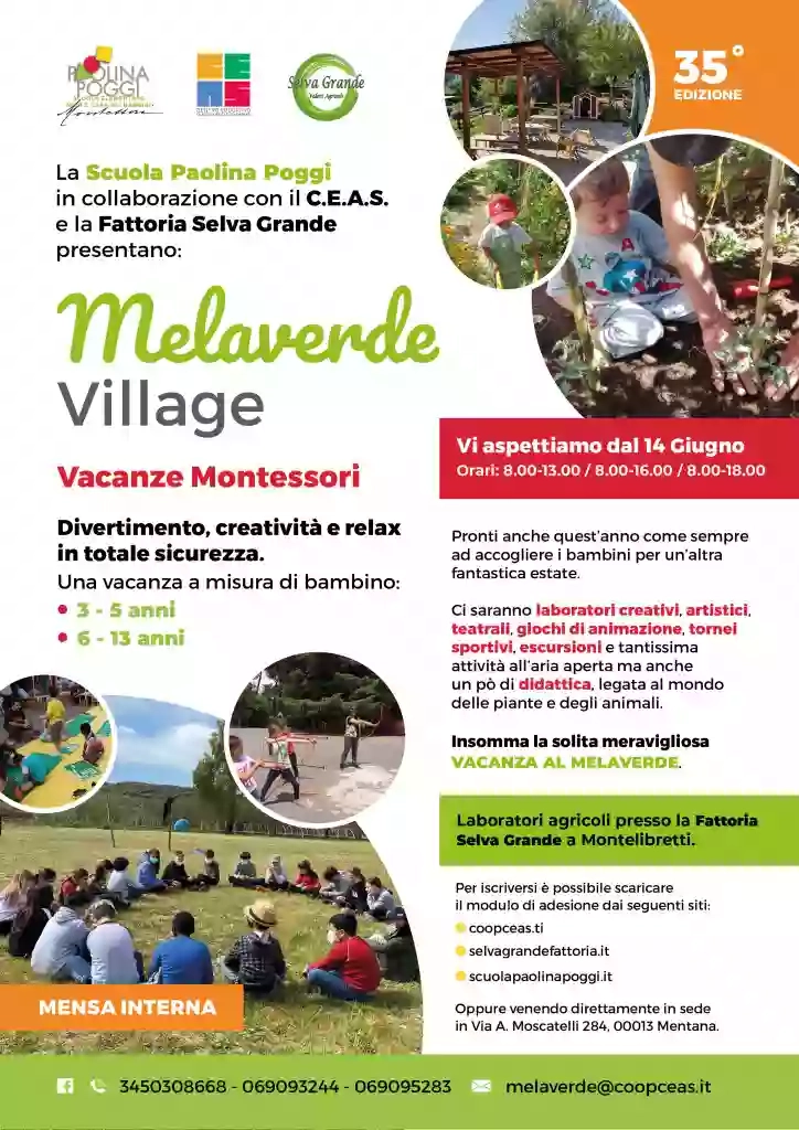 Mela verde Mela verde