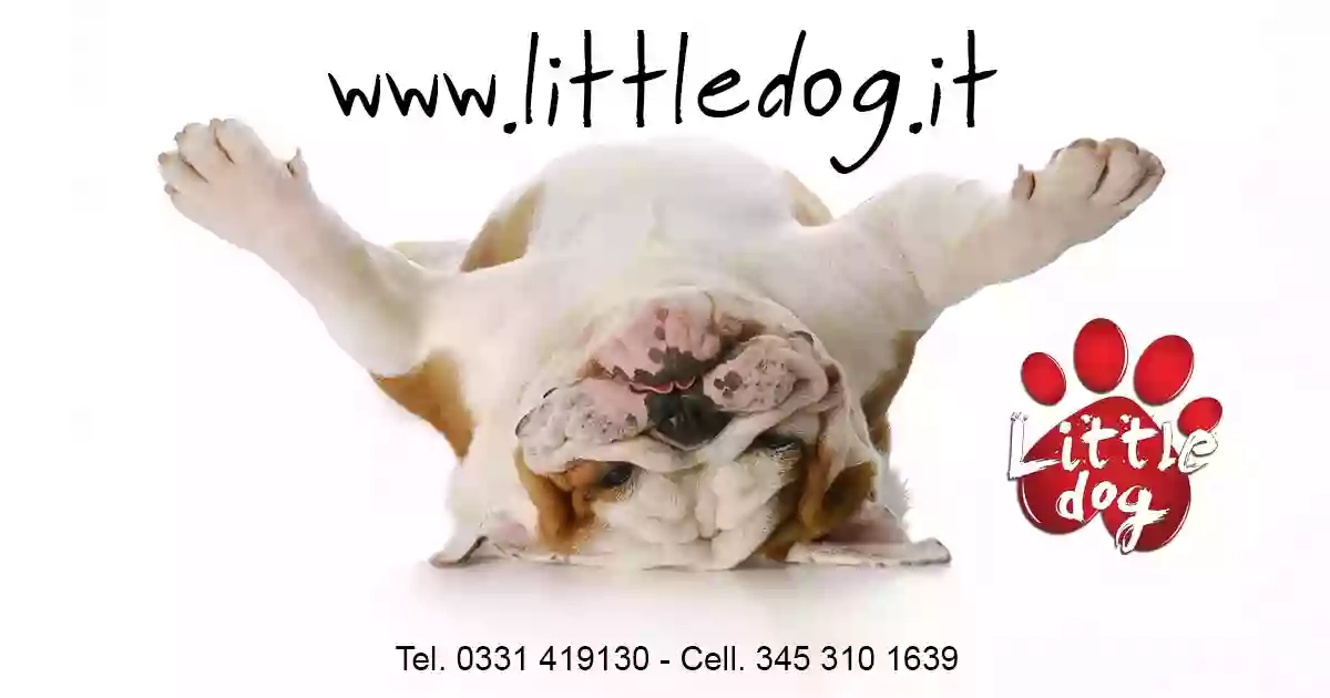 Little Dog Little Dog
