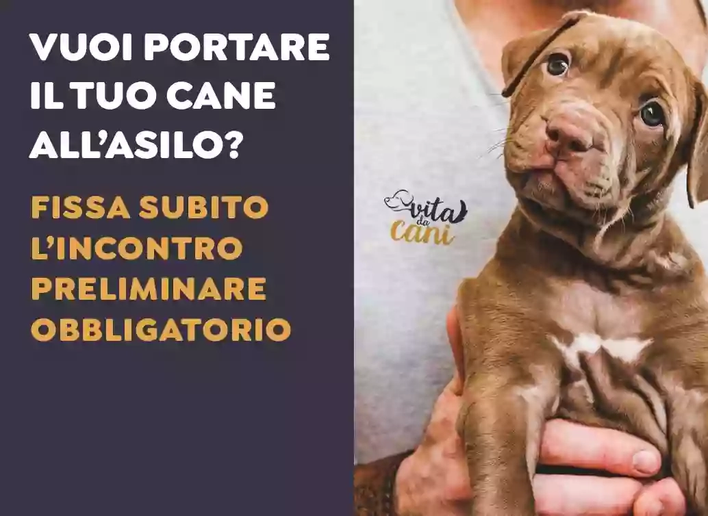 Vita da Cani Vita da Cani