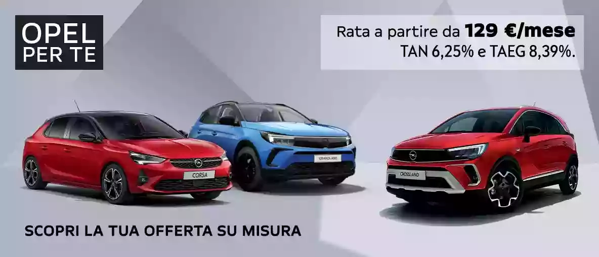 Nuova Mariani Nuova Mariani