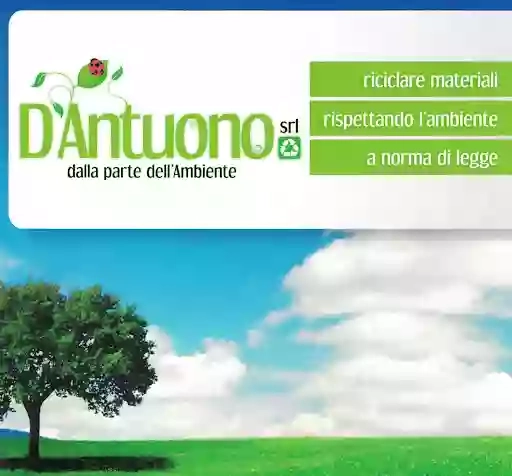 D'Antuono S.r.l. D'Antuono S.r.l.