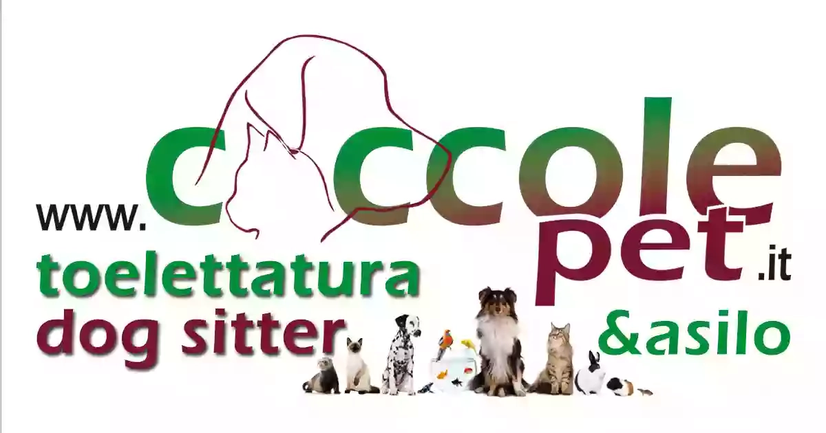 Coccole Pet Torino Coccole Pet Torino