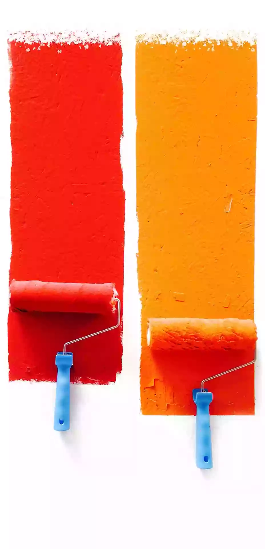 Area Colore Srl Area Colore Srl