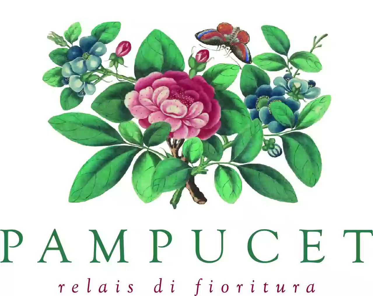Pampucet