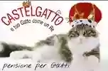 CastelGatto CastelGatto