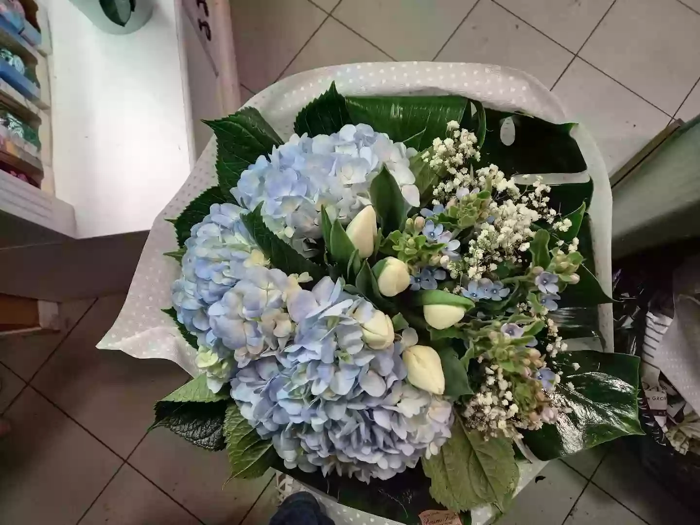 Pensiero Fiorito Pensiero Fiorito